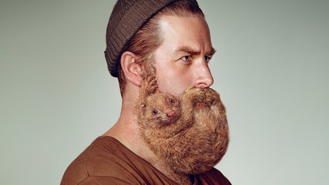 beard-animals-hed-2014.jpg
