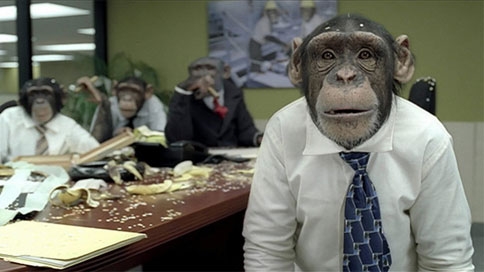 careerbuilder-chimps.jpg