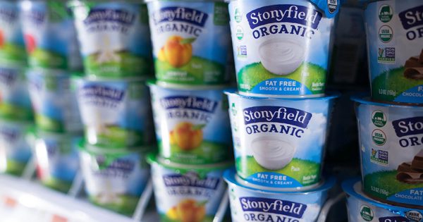 Stonyfield Appoints Its First Creative Agency of Record as Yogurt Wars Heat Up – Adweek