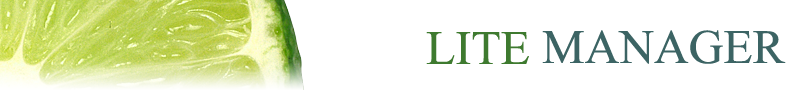 Logo for Lite Manager