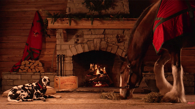 How Yule Log Videos Went From a Quirky Idea to a Hot Marketing Tool