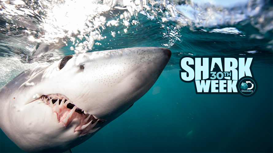 30th Anniversary Of Discovery Channel S Shark Week Promises To