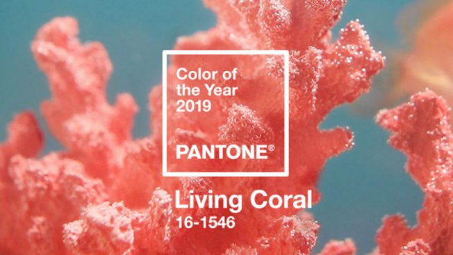 Pantone's Living Coral is shown.
