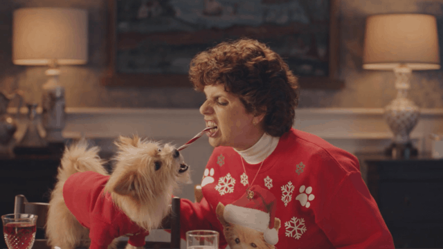 a dog and a grandmother fighting over a candy cane