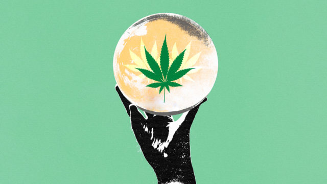 illustration of a hand holding a clear ball with marijuana leaves