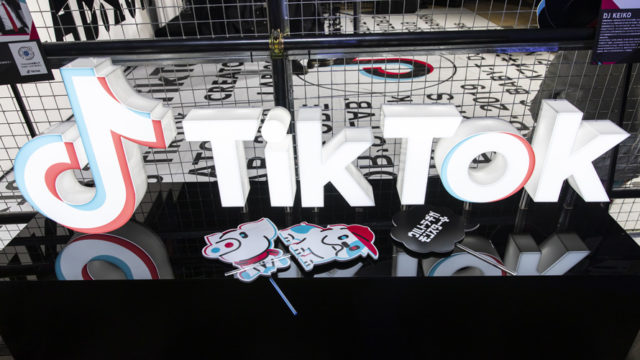 TikTok Signage with small dog and pig signage