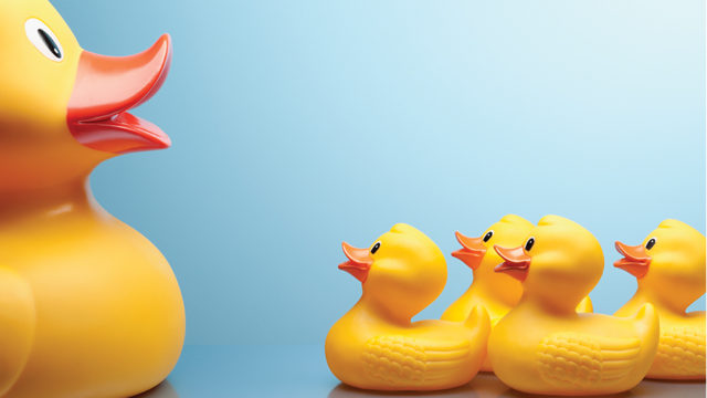a larger rubber duck with four small rubber ducks looking up to it