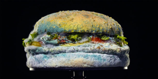 A Whopper is covered in mold in a new Burger King ad