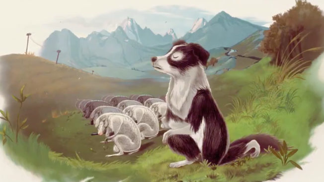 a black and white dog kneeling outside a group of all white dogs in a meadow