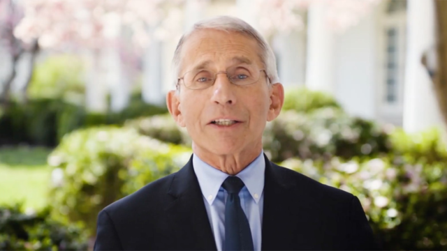 A photo of Dr. Anthony Fauci
