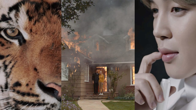 Combined images of animals, fires and people