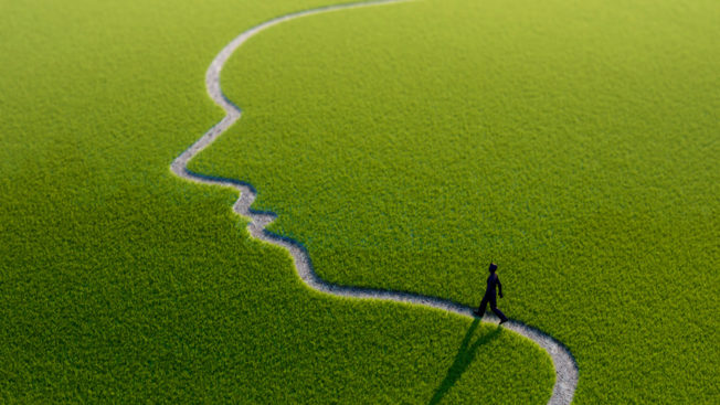 a face drawn into the grass as a path with a person walking across it