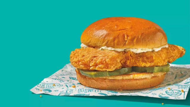 fish sandwich with pickles on a turquoise background