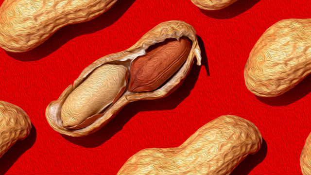 open peanut shell in a sea of peanuts