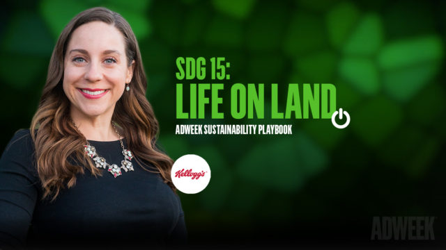 Amy Senter headshot. Text: SDG 15 Life on Land. Adweek Sustainability Playbook.