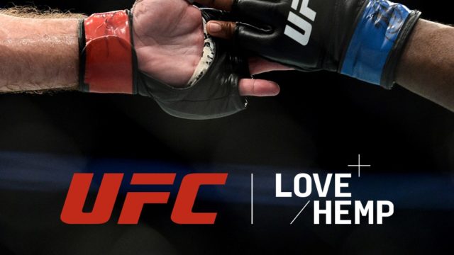 UFC fighters slap hands in close up
