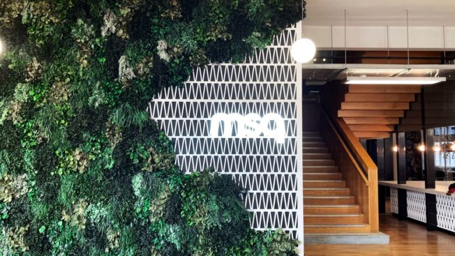 MSQ's office headquarters, with greenery outside and a wooden staircase inside