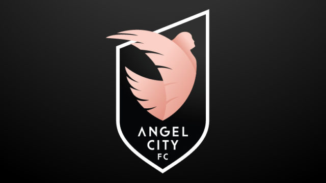 Sports logo of a blush pink bird against a black backdrop