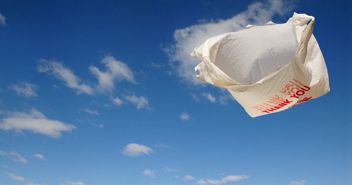 A plastic bag floating in the breeze