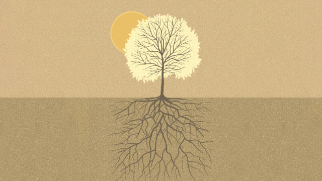 illustration of a tree and its roots
