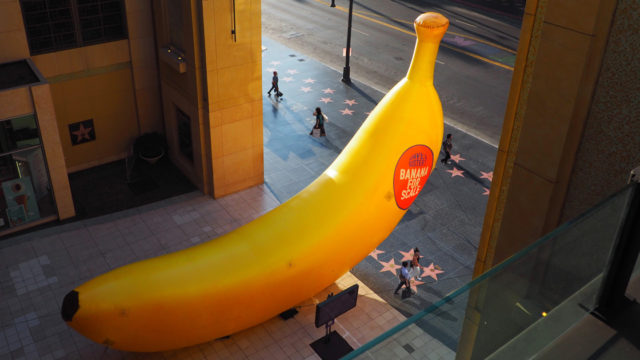 Dave & Buster's giant banana activation on Hollywood Boulevard