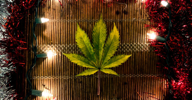 A cannabis leaf with string lights