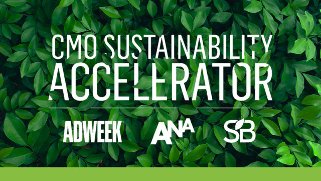 cmo sustainability accelerator graphic