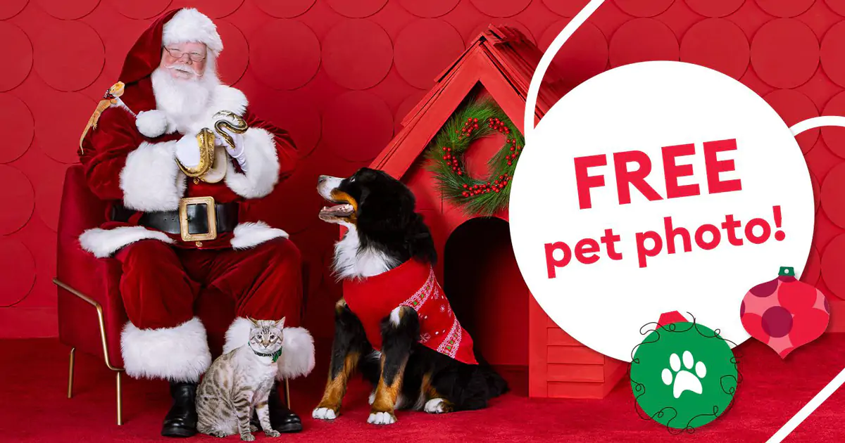 Fido and Fluffy Can Tell Santa What They Want Directly at PetSmart