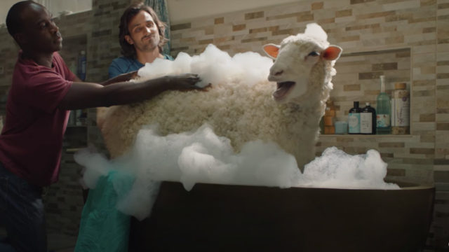 VW and Johannes Leonardo take a more lighthearted approach to the 