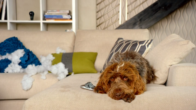 Nest Isn't Just Smart and Sleek, But Funny Too, in First TV Ads